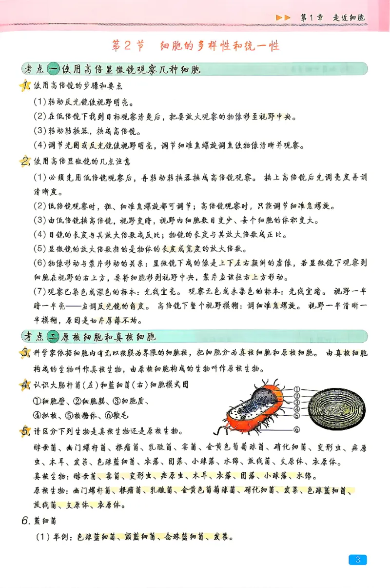 《2027一生儿生物一本通必修一回归教材背诵_2027一生儿高中生物一本通必修一》第7页预览