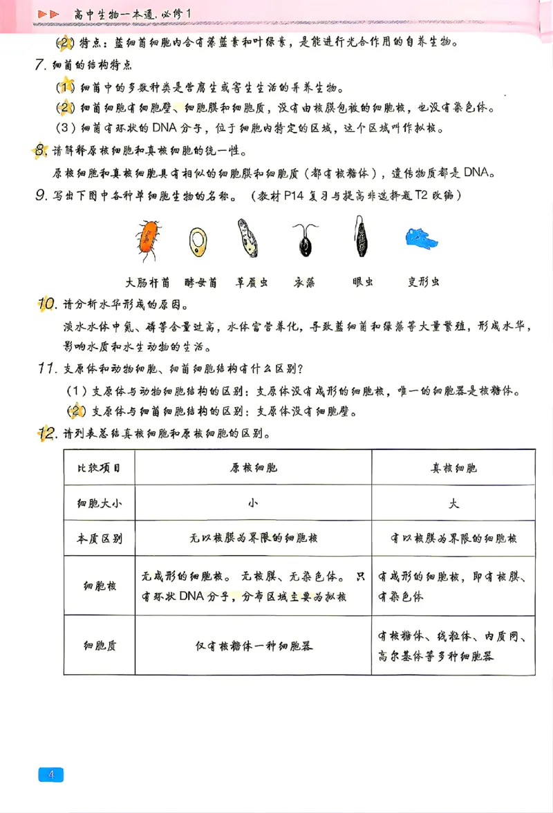 《2027一生儿生物一本通必修一回归教材背诵_2027一生儿高中生物一本通必修一》第8页预览