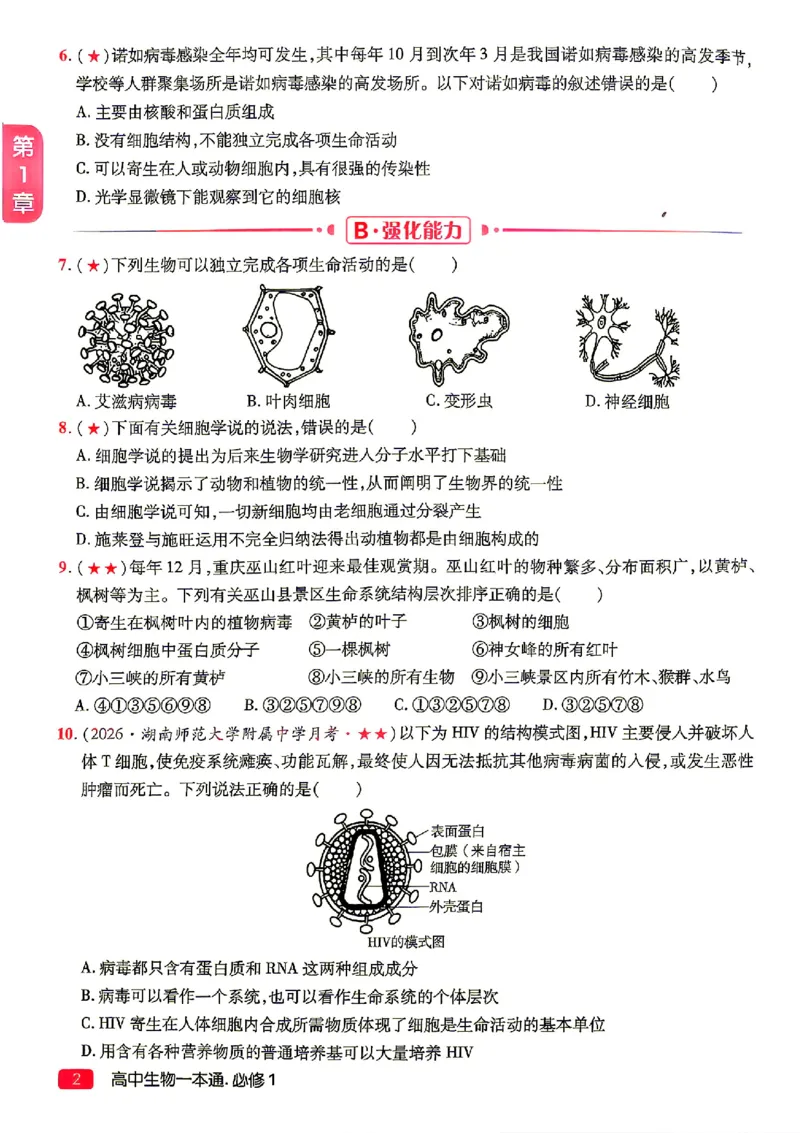 《2027一生儿生物一本通必修一习题册_2027一生儿高中生物一本通必修一》第4页预览