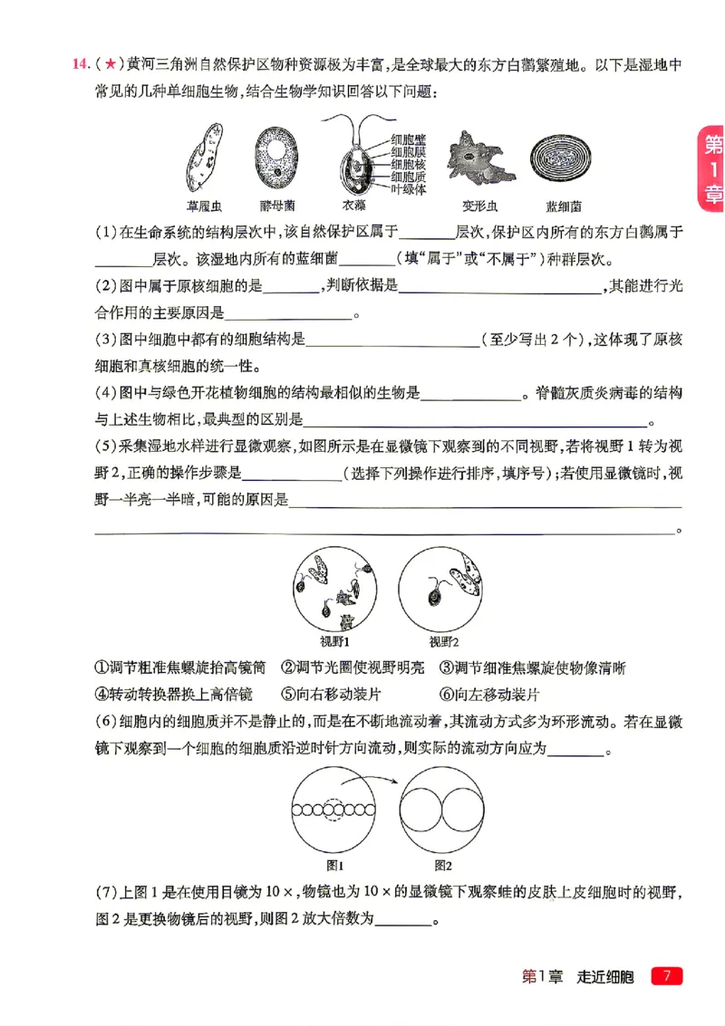 《2027一生儿生物一本通必修一习题册_2027一生儿高中生物一本通必修一》第9页预览
