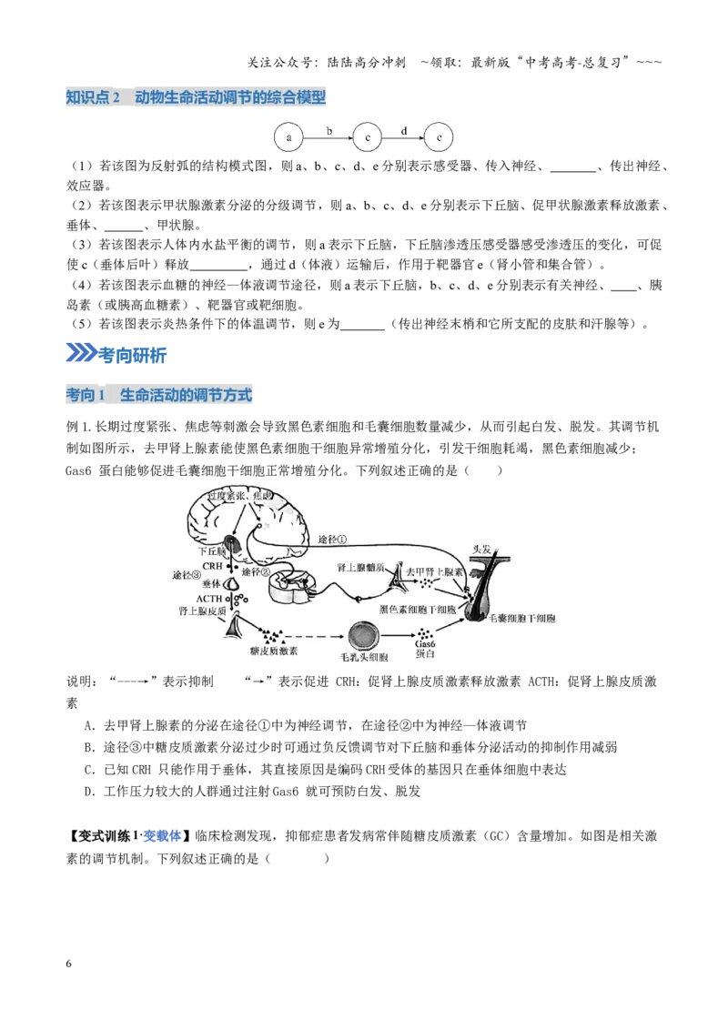 《第30讲动物生命活动调节的综合分析（复习讲义）（全国通用）（学生版）_06-生物-高考总复习_一轮复习_2026年-生物高考一轮复习_2026版_第八单元稳态与调节》第6页预览
