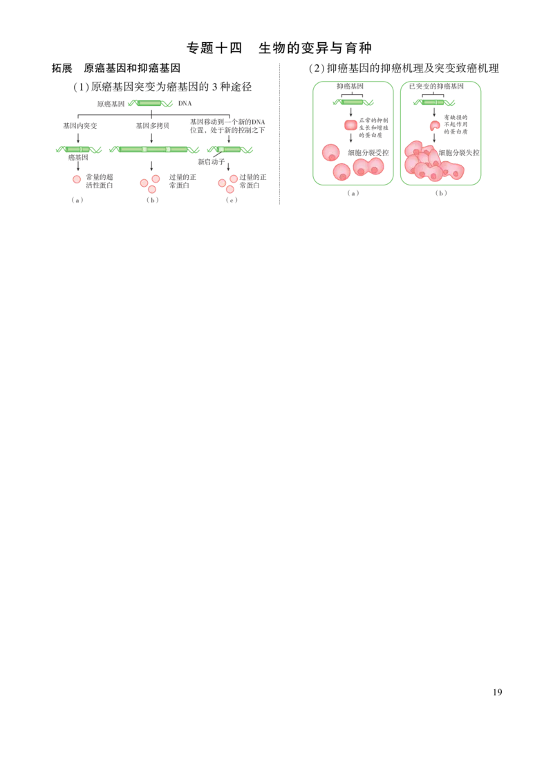 《1_7.专题十四生物的变异(1)_2023版教学资源包_2023版新高考版选考总复习生物5·3A版_14_专题十四生物的变异_8_名家备考素材摘要》第1页预览