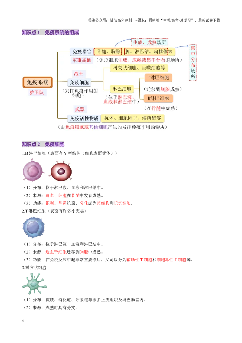 《第28讲免疫调节（讲义）（学生版）_06-生物-高考总复习_一轮复习_2025年_2025年高考生物一轮复习讲义+练习+课件（新教材新高考）_第八单元稳态与调节》第4页预览