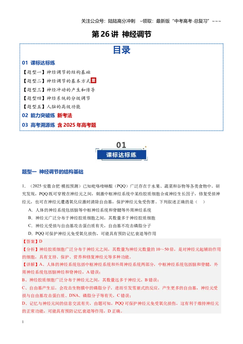 《第26讲神经调节（专项训练）（安徽专用）（教师版）_06-生物-高考总复习_一轮复习_2026年-生物高考一轮复习_2026年高考生物一轮课件+讲义+练习（安徽专用）-G326》第1页预览