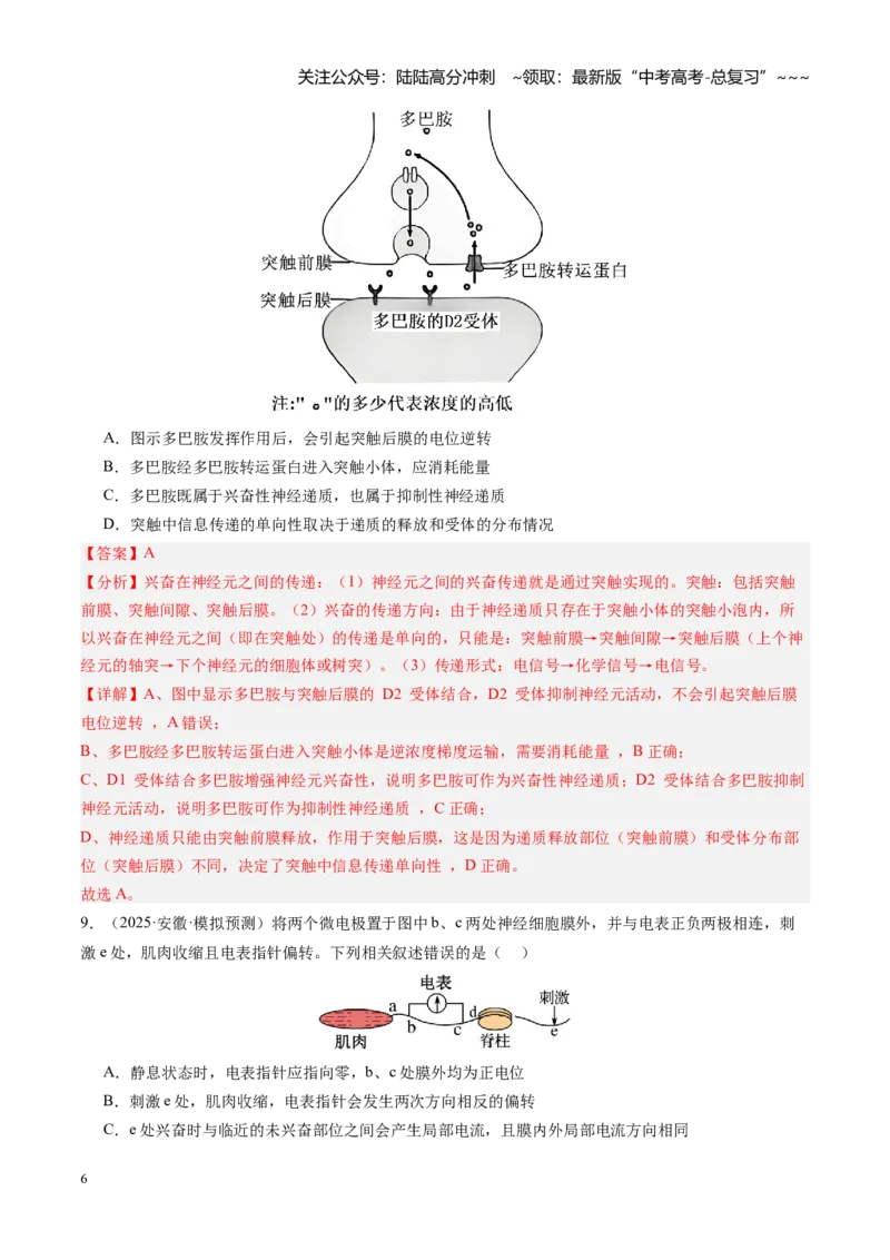 《第26讲神经调节（专项训练）（安徽专用）（教师版）_06-生物-高考总复习_一轮复习_2026年-生物高考一轮复习_2026年高考生物一轮课件+讲义+练习（安徽专用）-G326》第6页预览
