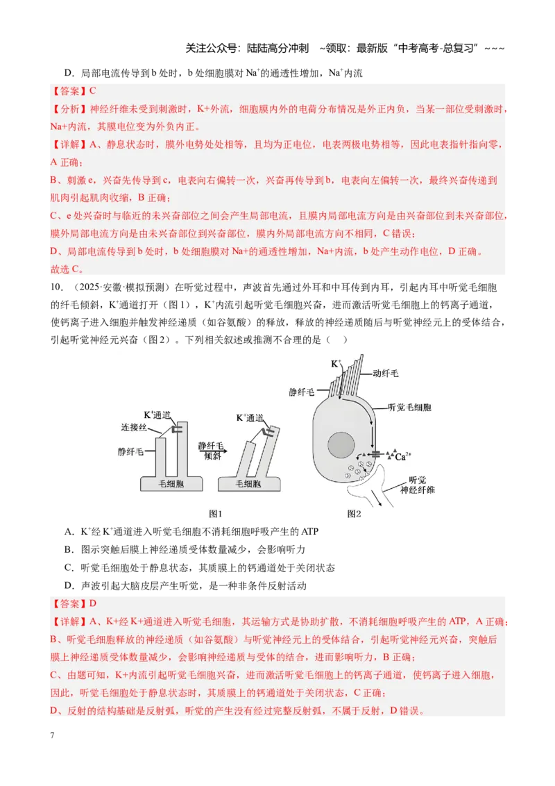 《第26讲神经调节（专项训练）（安徽专用）（教师版）_06-生物-高考总复习_一轮复习_2026年-生物高考一轮复习_2026年高考生物一轮课件+讲义+练习（安徽专用）-G326》第7页预览