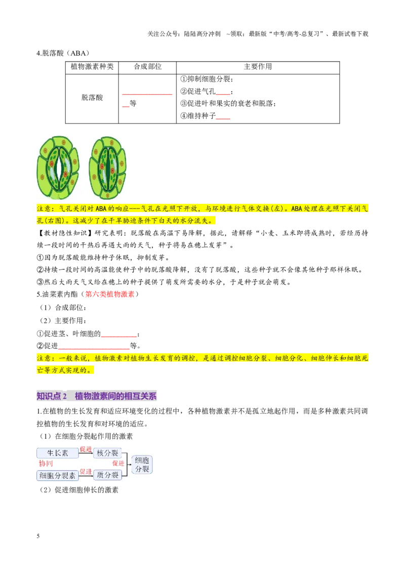 《第31讲植物生命活动调节（第二课时，其他植物激素、植物生长调节剂及环境因素参与调节植物的生命活动）（讲义）（学生版）_06-生物-高考总复习_一轮复习_2025年_第八单元稳态与调节》第5页预览
