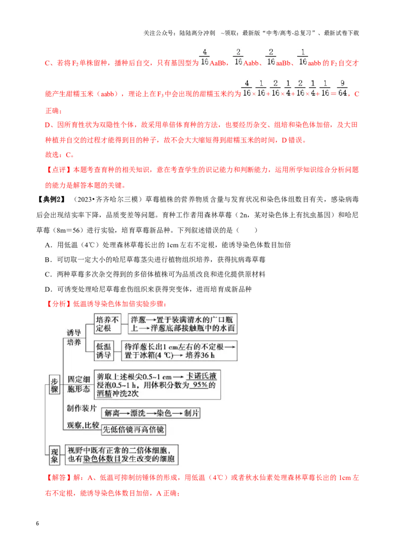 《考点26变异在育种上的应用（讲义）（解析版）_06-生物-高考总复习_一轮复习_2024年_2023-2024学年高三生物一轮复习_资料》第6页预览