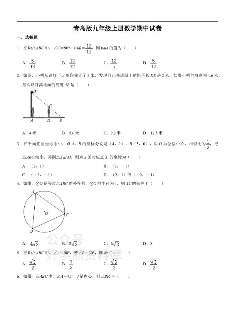 《青岛版九年级上册数学期中试卷_初中数学期中卷+期末卷+单元卷+月考卷_初中数学期中试卷_青岛版》第1页预览