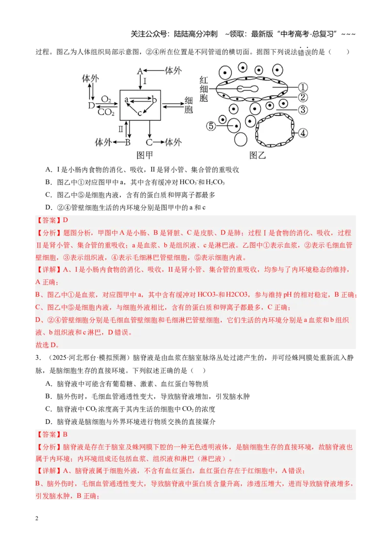 《第25讲内环境与稳态（专项训练）（安徽专用）（教师版）_06-生物-高考总复习_一轮复习_2026年-生物高考一轮复习_2026年高考生物一轮课件+讲义+练习（安徽专用）-G326》第2页预览