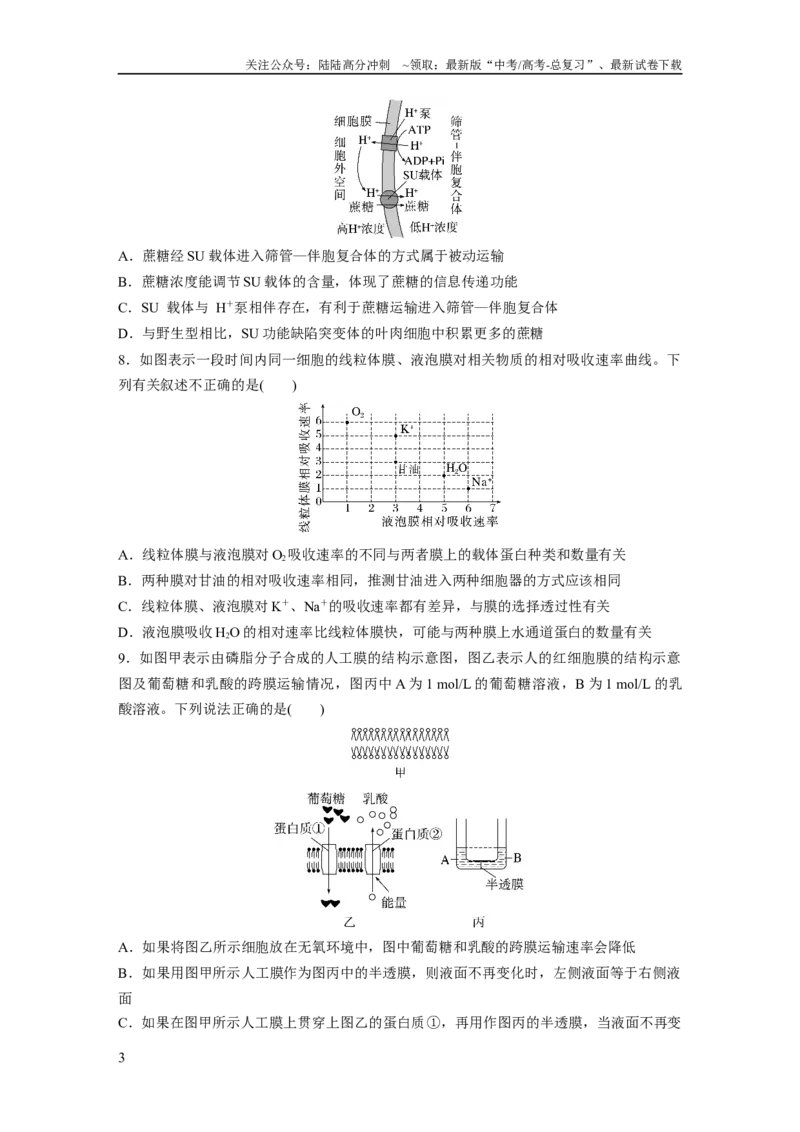 《第2单元　课时练5　物质出入细胞的方式及影响因素_06-生物-高考总复习_一轮复习_2024年_2024高考生物大一轮复习课件讲义新人教版知识总结_2024年高考生物一轮复习讲义（新人教版）》第3页预览