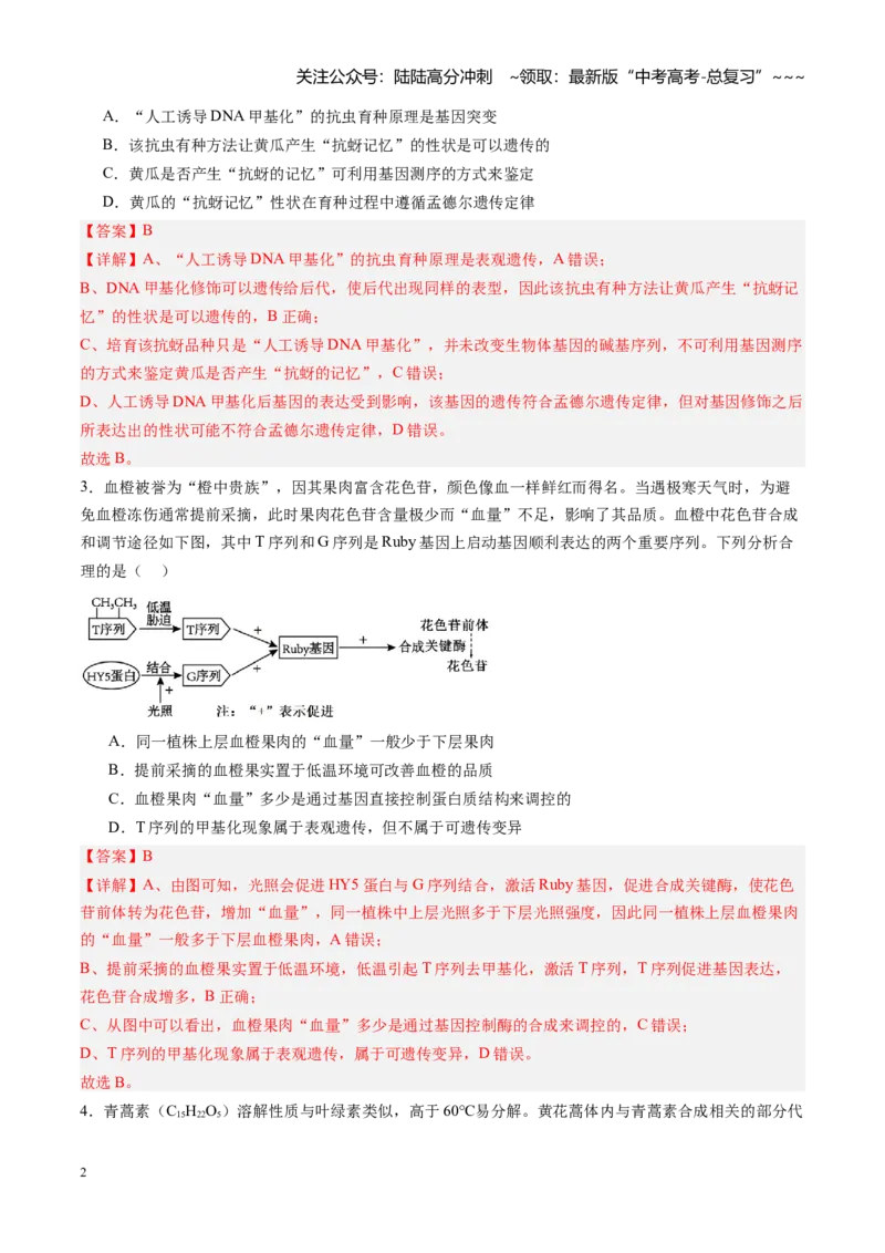 《第23讲基因与性状的关系（专项训练）（福建专用）（教师版）_06-生物-高考总复习_一轮复习_2026年-生物高考一轮复习_2026年高考生物一轮课件+讲义+练习（福建专用）-G328》第2页预览
