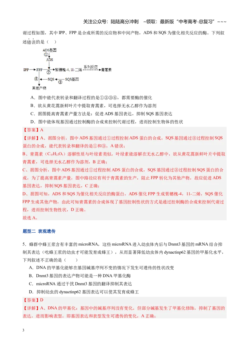 《第23讲基因与性状的关系（专项训练）（福建专用）（教师版）_06-生物-高考总复习_一轮复习_2026年-生物高考一轮复习_2026年高考生物一轮课件+讲义+练习（福建专用）-G328》第3页预览