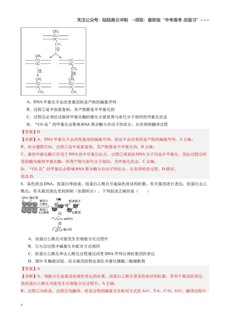 《第23讲基因与性状的关系（专项训练）（福建专用）（教师版）_06-生物-高考总复习_一轮复习_2026年-生物高考一轮复习_2026年高考生物一轮课件+讲义+练习（福建专用）-G328》第5页预览