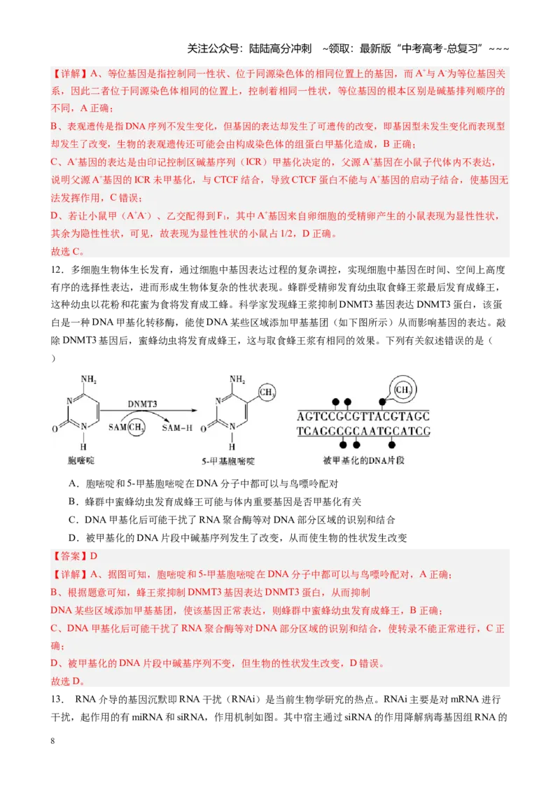 《第23讲基因与性状的关系（专项训练）（福建专用）（教师版）_06-生物-高考总复习_一轮复习_2026年-生物高考一轮复习_2026年高考生物一轮课件+讲义+练习（福建专用）-G328》第8页预览