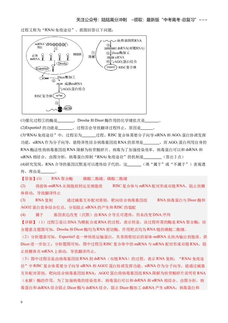 《第23讲基因与性状的关系（专项训练）（福建专用）（教师版）_06-生物-高考总复习_一轮复习_2026年-生物高考一轮复习_2026年高考生物一轮课件+讲义+练习（福建专用）-G328》第9页预览