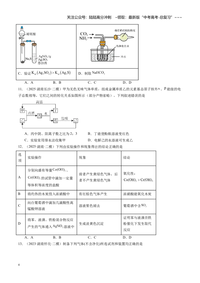 《第十章化学实验基础与探究（综合训练）（湖南专用）（学生版）_05-化学-高考总复习_一轮复习_2026年-化学高考一轮复习_2026年高考化学一轮课件+讲义+练习（湖南专用）-G331》第4页预览