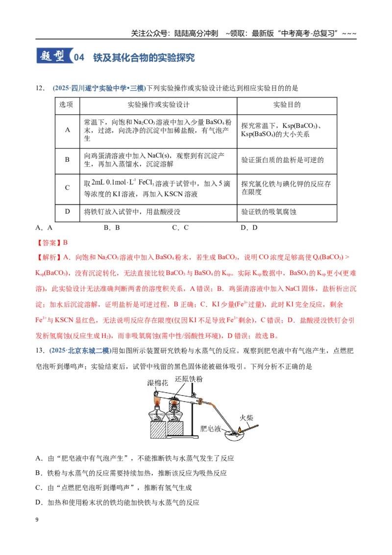 《第02讲铁及其重要化合物（专项训练）（四川专用）（教师版）_05-化学-高考总复习_一轮复习_2026年-化学高考一轮复习_2026年高考化学一轮课件+讲义+练习（四川专用）-G335》第9页预览
