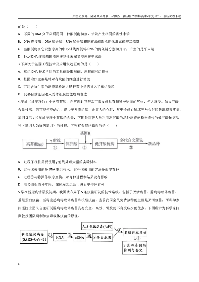 《考点13基因工程（原卷版）_06-生物-高考总复习_二轮复习_2024年_2024年高考生物二轮复习考点归纳与解题策略新高考_资料》第4页预览