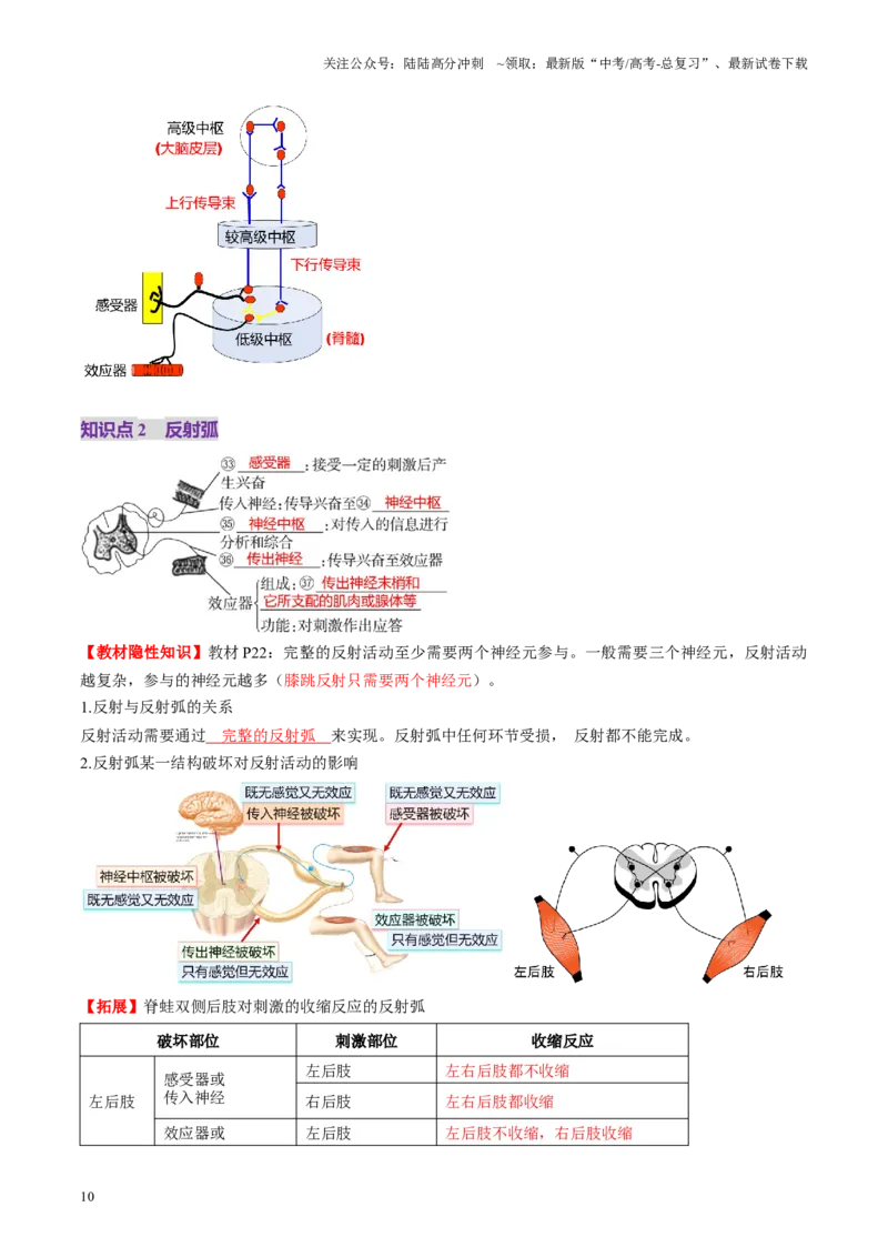 《第25讲神经调节（第一课时，神经调节的结构基础及基本方式）（讲义）（教师版）_06-生物-高考总复习_一轮复习_2025年_2025年新高考生物一轮复习讲义PPT知识点习题训_资料》第10页预览
