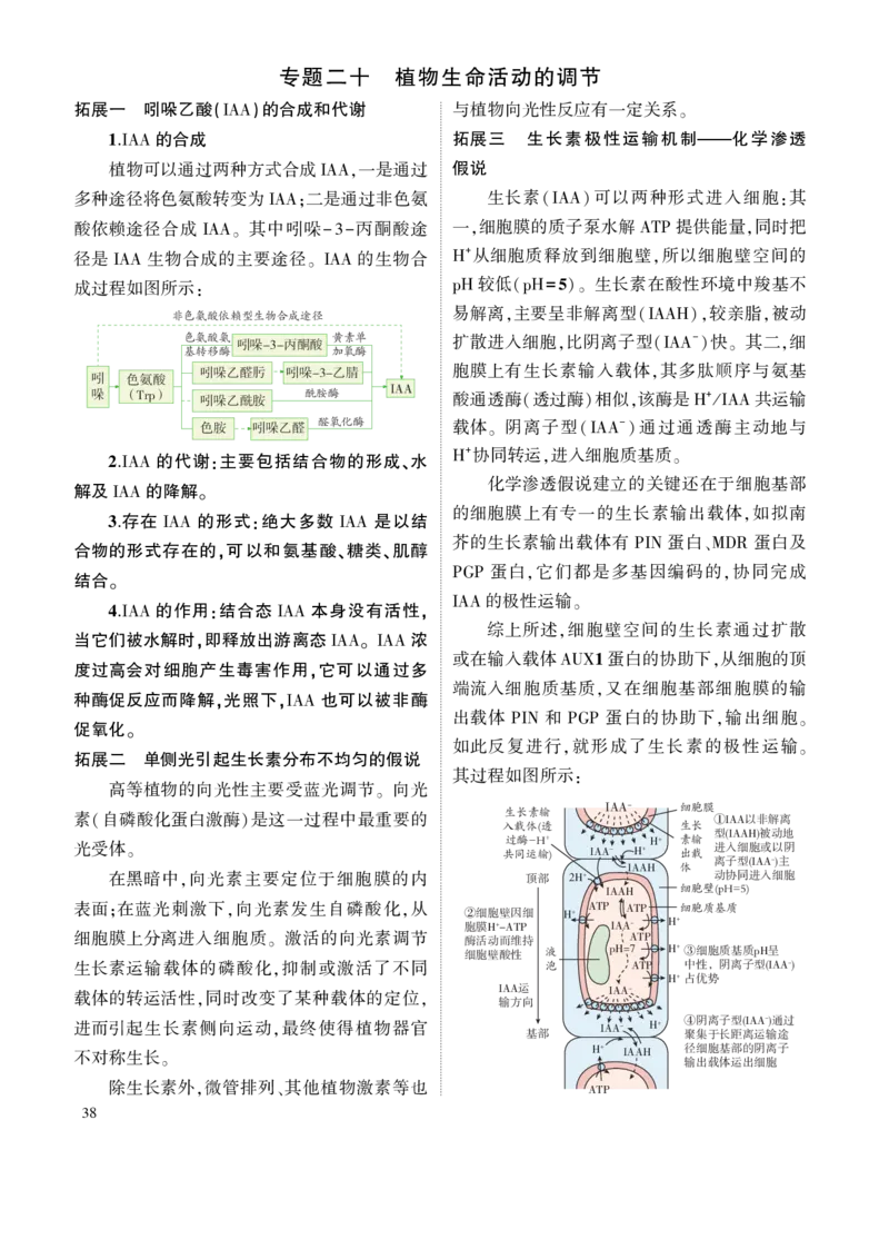 《1_7.专题二十植物生命活动的调节(1)_2023版教学资源包_2023版新高考版选考总复习生物5·3A版_20_专题二十植物生命活动的调节_8_名家备考素材摘要》第1页预览