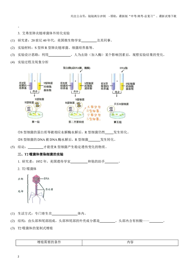 《考点21DNA是主要的遗传物质（讲义）（原卷版）_06-生物-高考总复习_一轮复习_2024年_2023-2024学年高三生物一轮复习_资料》第2页预览