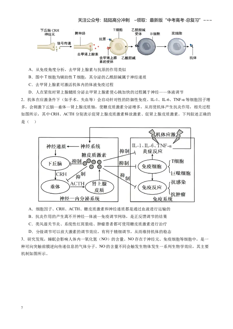 《第31讲动物生命活动调节的综合分析（专项训练）（安徽专用）（学生版）_06-生物-高考总复习_一轮复习_2026年-生物高考一轮复习_2026年高考生物一轮课件+讲义+练习（安徽专用）-G326》第7页预览