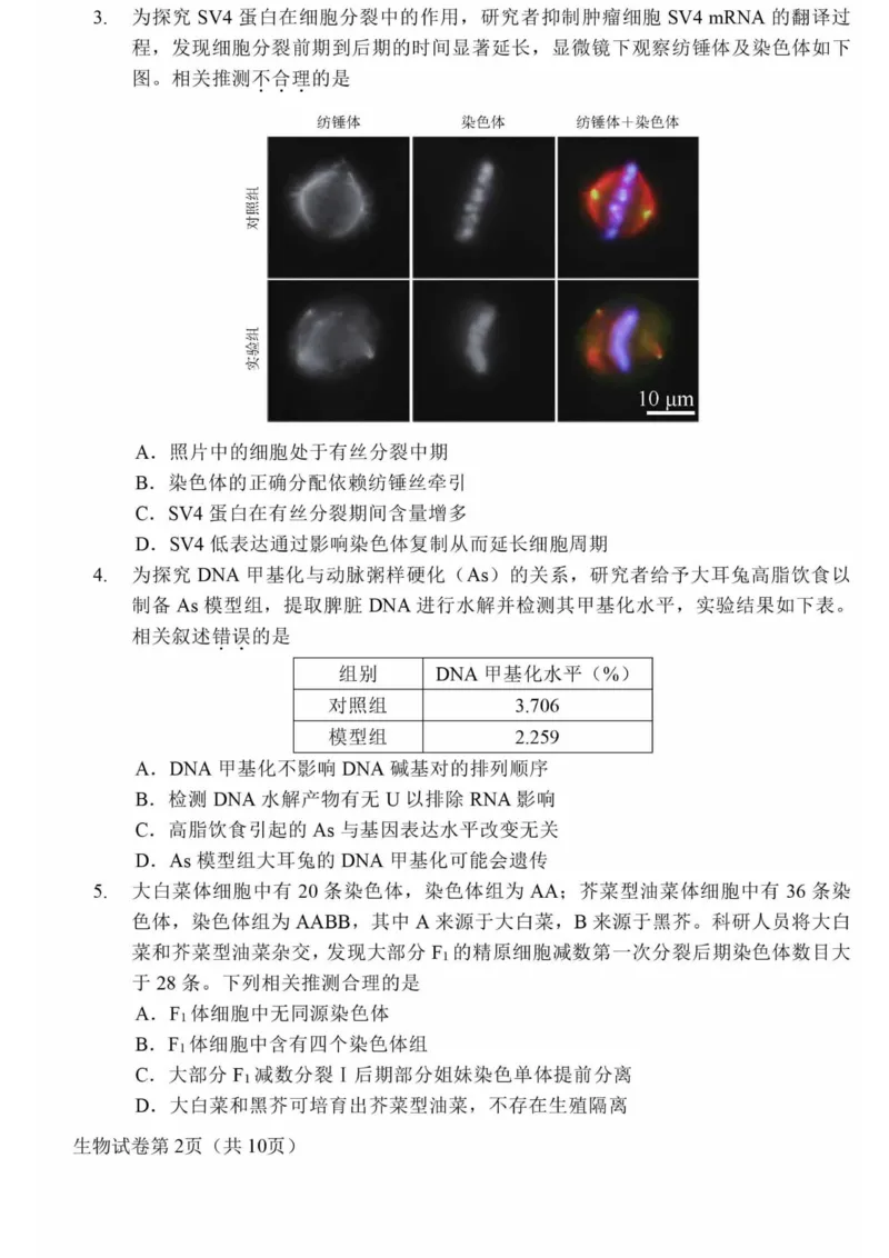 《1_2024北京市昌平二模（试卷+答案）_2025版教学资源包_（总复习系列）2025版《5年高考3年模拟》新高考版B版（⭐全科）_2025版.新高考新教材版.选考总复习.生物.5·3B版_1_资源拓展》第2页预览
