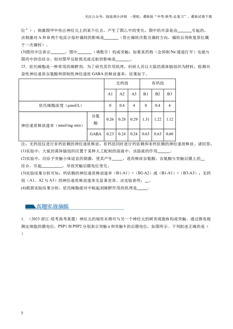 《第26.2讲神经冲动的产生、传导和传递（练习）（原卷版）_06-生物-高考总复习_一轮复习_2024年_2024年高考生物一轮复习讲练测(课件+讲义+练习)（新高考）_讲义+练习》第5页预览