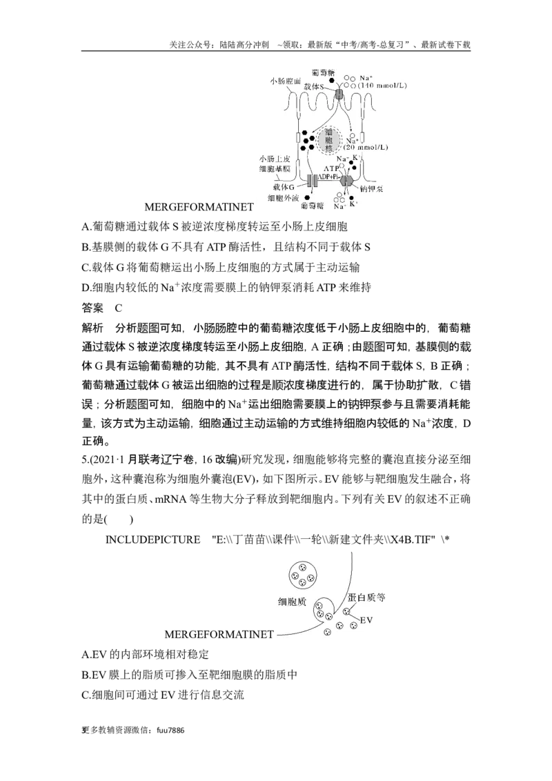 《热点微练4物质出入细胞的方式(尖子生特训)_06-生物-高考总复习_一轮复习_2024年_2024高考生物大一轮复习课件讲义新人教版知识总结_2024年高考生物一轮复习讲义（新人教版）_必修1》第3页预览