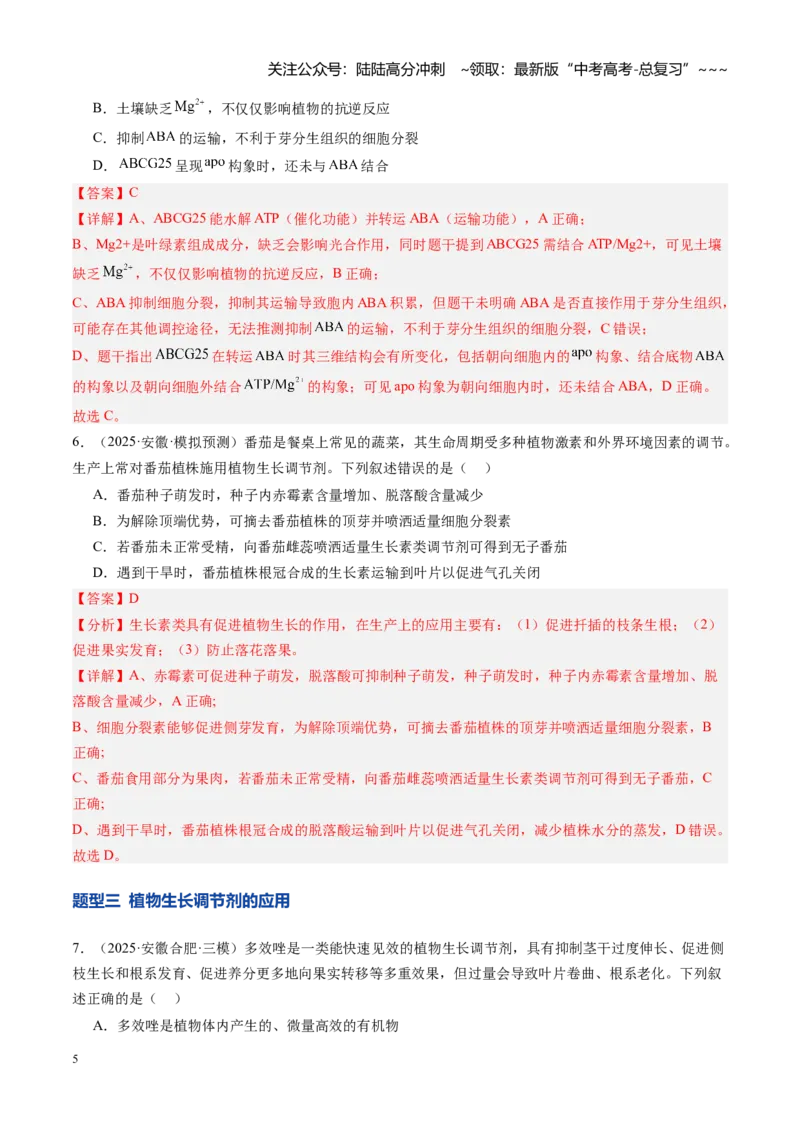 《第32讲植物生命活动调节（专项训练）（安徽专用）（教师版）_06-生物-高考总复习_一轮复习_2026年-生物高考一轮复习_2026年高考生物一轮课件+讲义+练习（安徽专用）-G326》第5页预览
