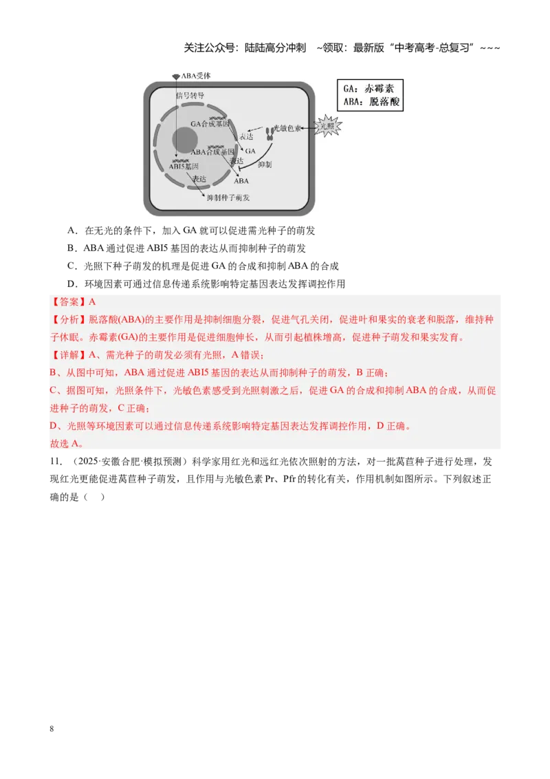 《第32讲植物生命活动调节（专项训练）（安徽专用）（教师版）_06-生物-高考总复习_一轮复习_2026年-生物高考一轮复习_2026年高考生物一轮课件+讲义+练习（安徽专用）-G326》第8页预览