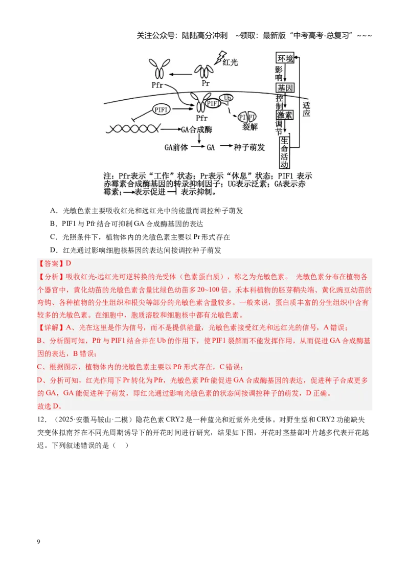 《第32讲植物生命活动调节（专项训练）（安徽专用）（教师版）_06-生物-高考总复习_一轮复习_2026年-生物高考一轮复习_2026年高考生物一轮课件+讲义+练习（安徽专用）-G326》第9页预览