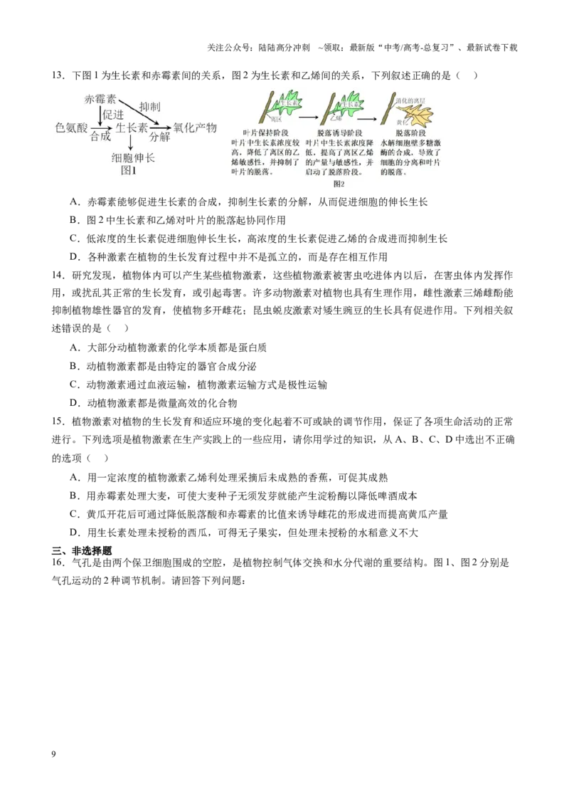 《第31讲植物生命活动调节（第二课时，其他植物激素、植物生长调节剂及环境因素参与调节植物的生命活动）（练习）（学生版）_06-生物-高考总复习_一轮复习_2025年_第八单元稳态与调节》第9页预览