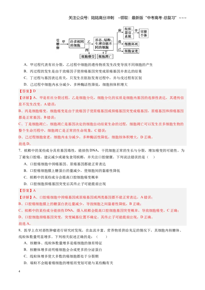 《第22讲生物的变异（专项训练）（四川专用）（教师版）_06-生物-高考总复习_一轮复习_2026年-生物高考一轮复习_2026年高考生物一轮课件+讲义+练习（四川专用）-G335》第4页预览