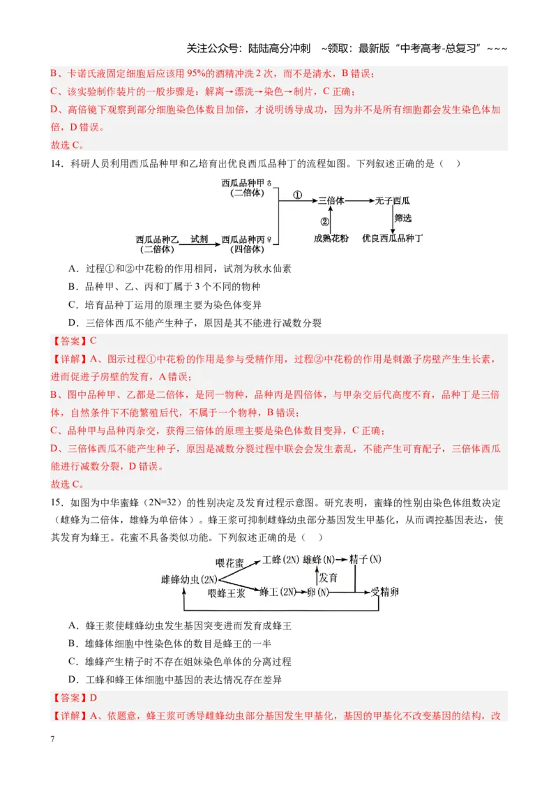 《第22讲生物的变异（专项训练）（四川专用）（教师版）_06-生物-高考总复习_一轮复习_2026年-生物高考一轮复习_2026年高考生物一轮课件+讲义+练习（四川专用）-G335》第7页预览