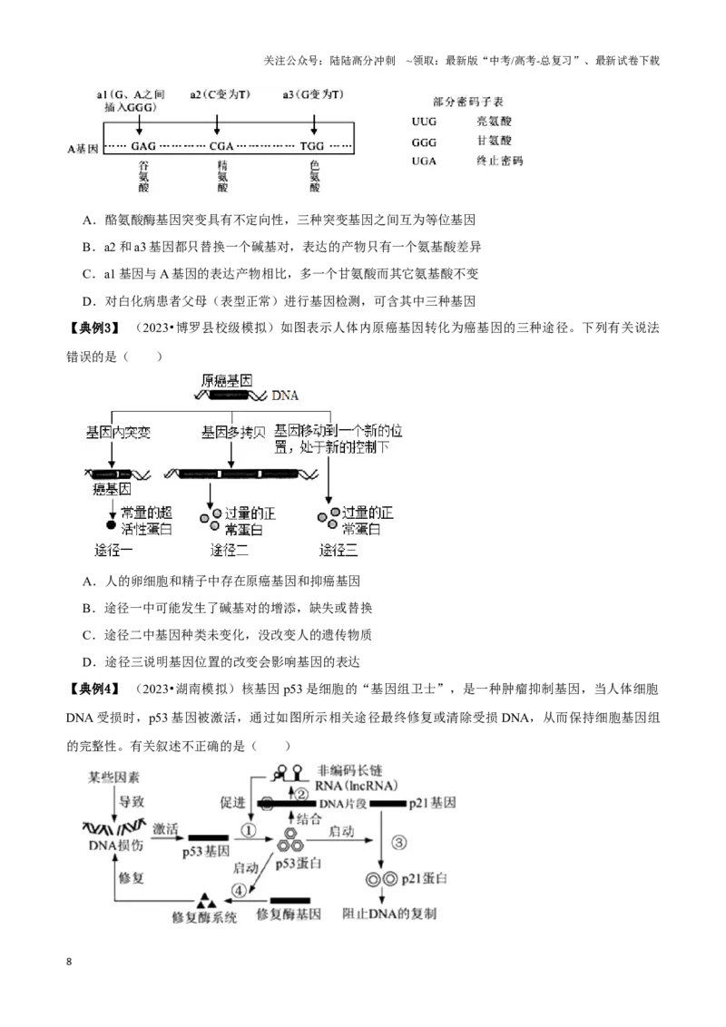 《考点24生物的变异（讲义）（原卷版）_06-生物-高考总复习_一轮复习_2024年_2023-2024学年高三生物一轮复习_资料》第8页预览