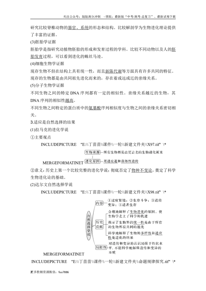 《第21讲生物的进化_06-生物-高考总复习_一轮复习_2024年_2024高考生物大一轮复习课件讲义新人教版知识总结_2024年高考生物一轮复习讲义（新人教版）_另赠1套Word版题库_必修2》第2页预览