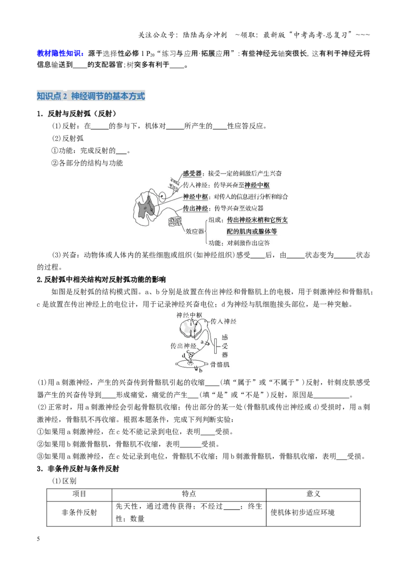 《第25讲神经调节（复习讲义）（全国通用）（学生版）_06-生物-高考总复习_一轮复习_2026年-生物高考一轮复习_2026年高考生物一轮复习讲义+练习+课件（新教材新高考）-G55_2026版》第5页预览