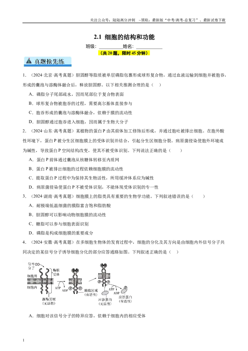 《第2单元小测01细胞的结构和功能（学生版）_06-生物-高考总复习_一轮复习_2025年_2025年高考生物一轮复习考点精讲精练（新高考通用）》第1页预览