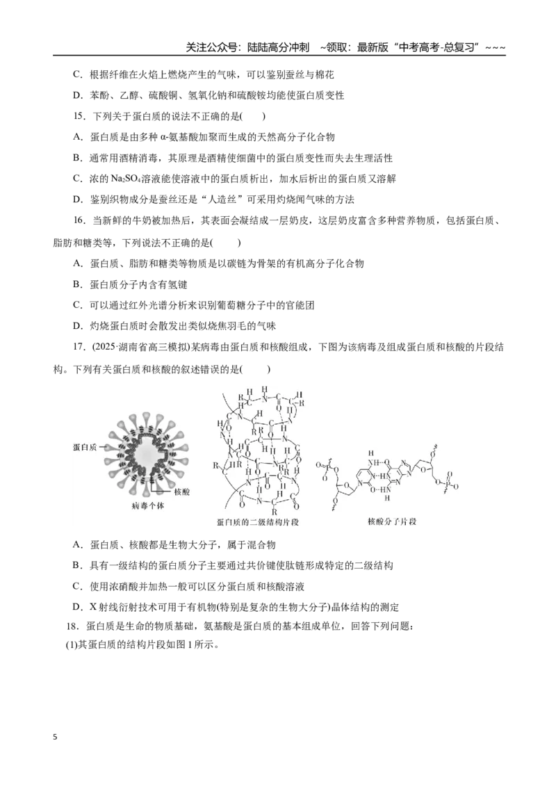 《第04讲生物大分子、合成高分子（专项训练）（全国通用）（学生版）_05-化学-高考总复习_一轮复习_2026年-化学高考一轮复习_2026年高考化学一轮复习讲义+练习+课件（新教材新高考）-G55》第5页预览
