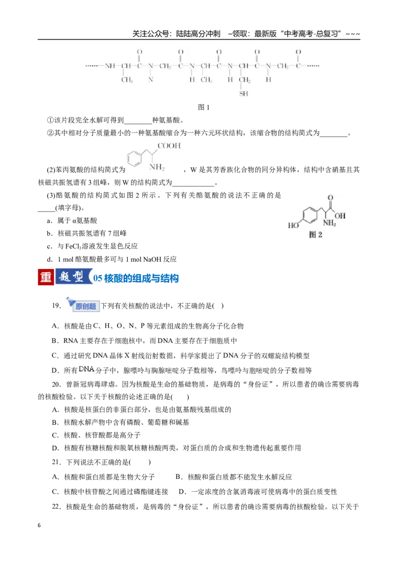 《第04讲生物大分子、合成高分子（专项训练）（全国通用）（学生版）_05-化学-高考总复习_一轮复习_2026年-化学高考一轮复习_2026年高考化学一轮复习讲义+练习+课件（新教材新高考）-G55》第6页预览