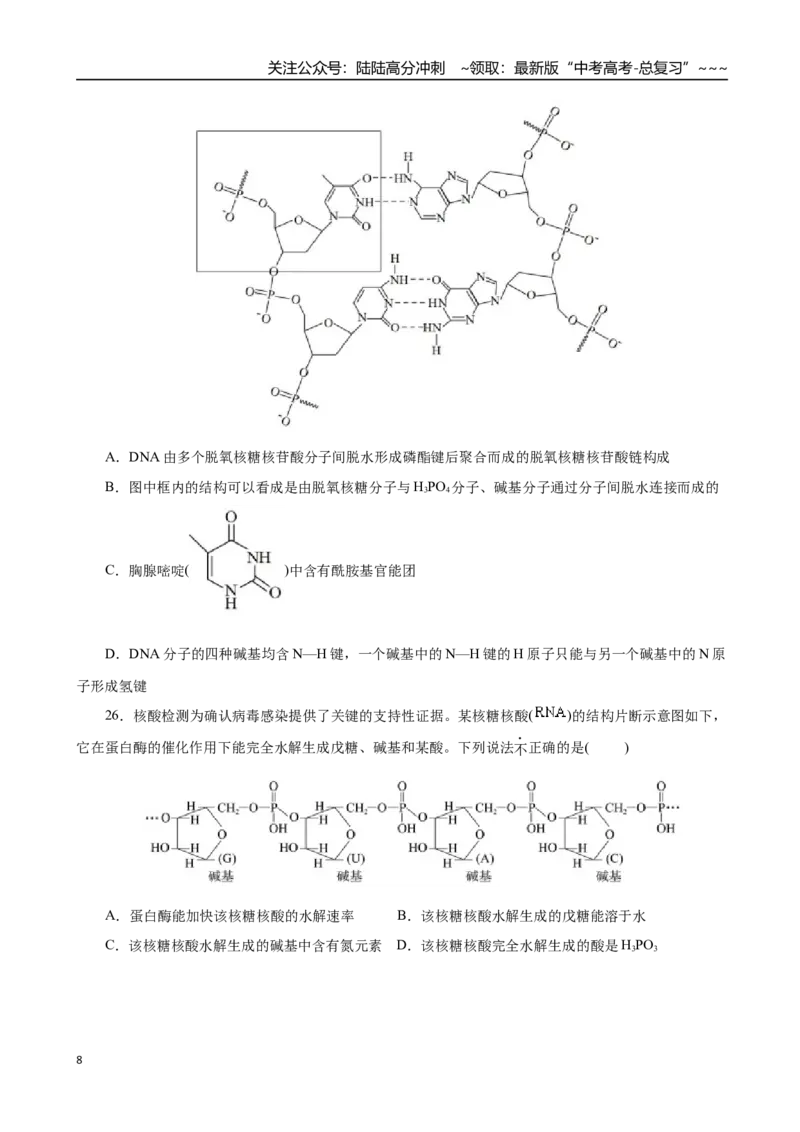 《第04讲生物大分子、合成高分子（专项训练）（全国通用）（学生版）_05-化学-高考总复习_一轮复习_2026年-化学高考一轮复习_2026年高考化学一轮复习讲义+练习+课件（新教材新高考）-G55》第8页预览