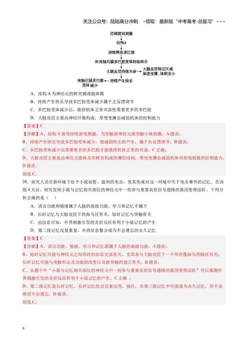《第25讲神经调节（专项训练）（四川专用）（教师版）_06-生物-高考总复习_一轮复习_2026年-生物高考一轮复习_2026年高考生物一轮课件+讲义+练习（四川专用）-G335》第9页预览