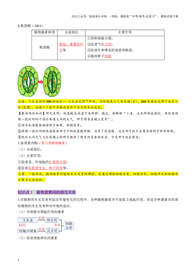 《第31讲植物生命活动调节（第二课时，其他植物激素、植物生长调节剂及环境因素参与调节植物的生命活动）（讲义）（教师版）_06-生物-高考总复习_一轮复习_2025年_资料》第5页预览