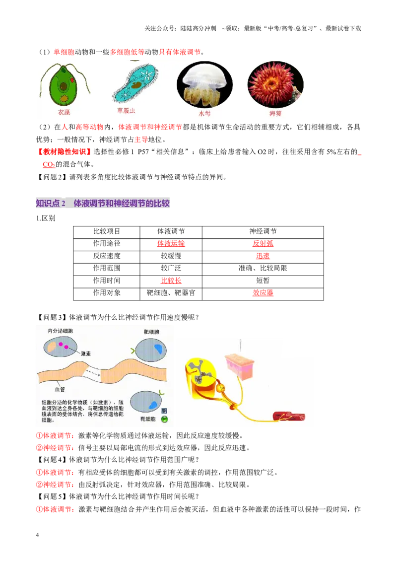 《第27讲体液调节与神经调节的关系（讲义）（教师版）_06-生物-高考总复习_一轮复习_2025年_2025年新高考生物一轮复习讲义PPT知识点习题训_资料_第八单元稳态与调节》第4页预览
