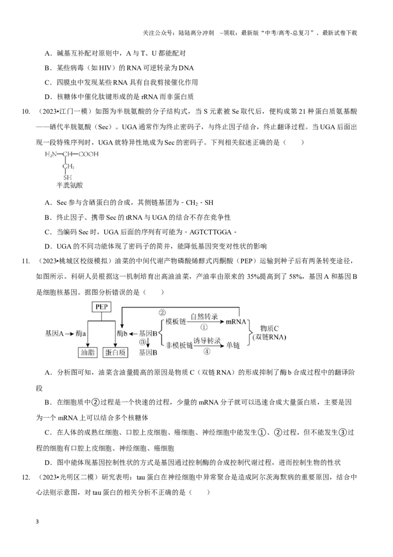 《考点23基因的表达（精练）（原卷版）_06-生物-高考总复习_一轮复习_2024年_2023-2024学年高三生物一轮复习_资料》第3页预览