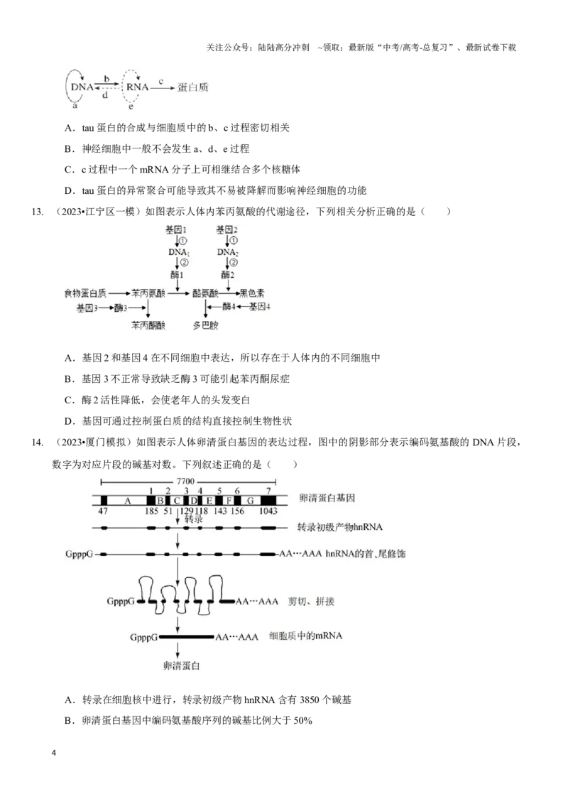 《考点23基因的表达（精练）（原卷版）_06-生物-高考总复习_一轮复习_2024年_2023-2024学年高三生物一轮复习_资料》第4页预览