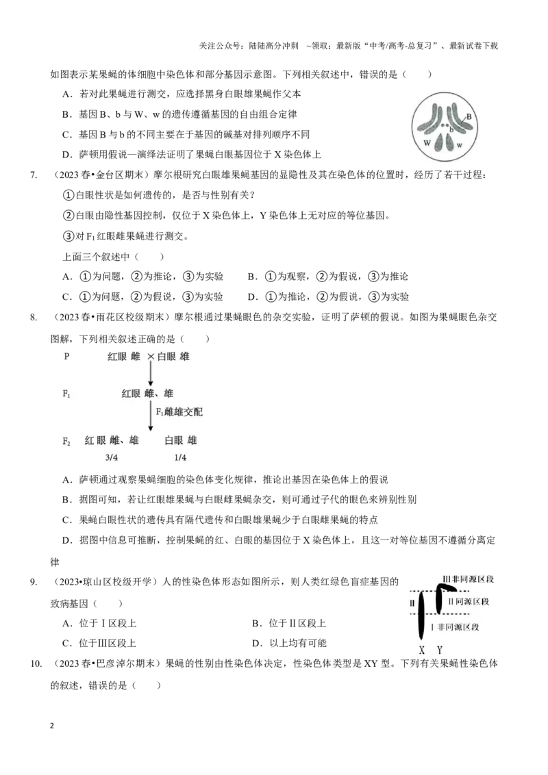 《考点20伴性遗传（精练）（原卷版）_06-生物-高考总复习_一轮复习_2024年_2023-2024学年高三生物一轮复习_资料》第2页预览