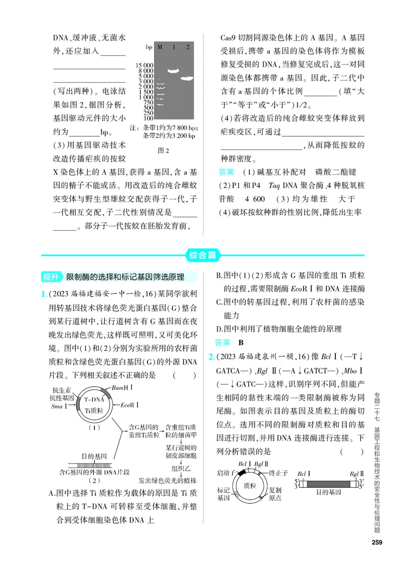 《1_27-专题二十七　基因工程和生物技术的安全性与伦理问题（教参电子书—分层集训）_2024版教学资源包_2024版.新高考版生物.5·3A版_27_专题二十七基因工程和生物技术的安全性与伦理问题》第4页预览